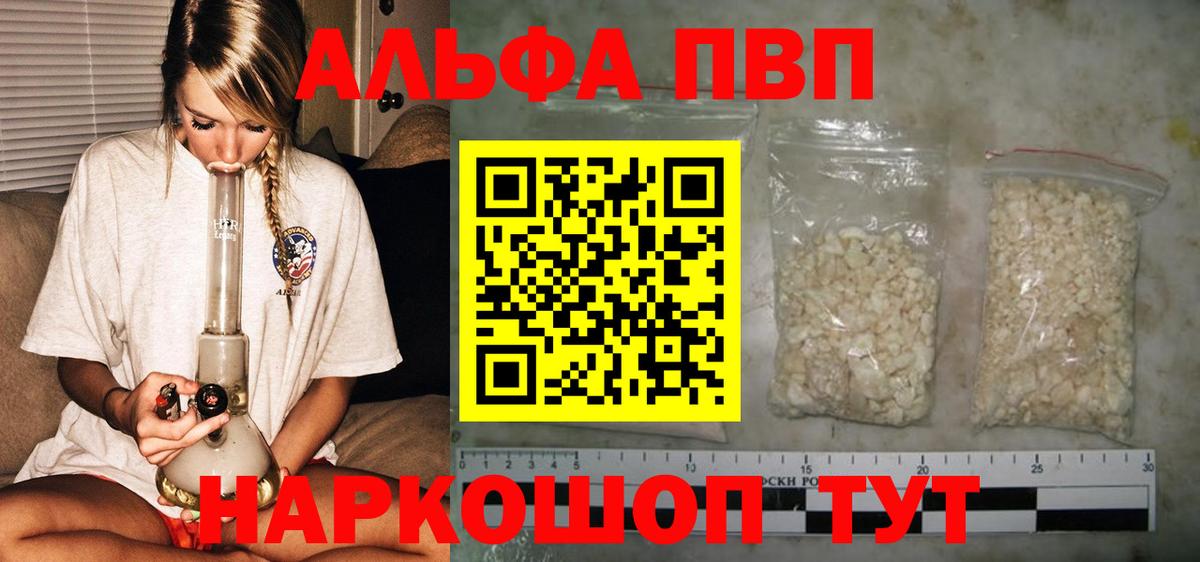 A-PVP СК Великий Новгород