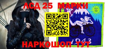 индика Можга