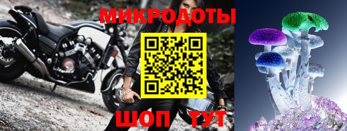 Великий Новгород  Псилоцибиновые грибы ЛСД  Вход с VPN 