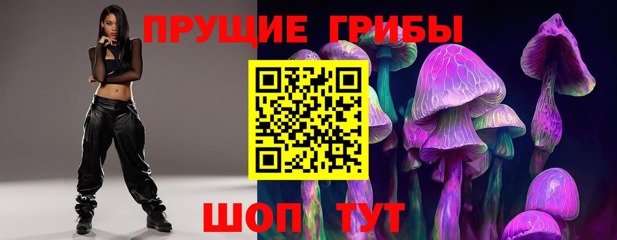 Псилоцибиновые грибы мицелий Великий Новгород